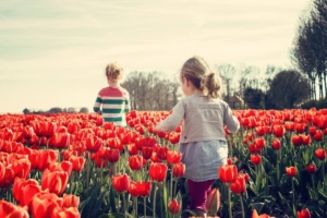 Spring Activities to Consider in Lynnwood, WA