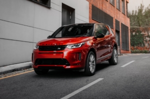 Insurance coverage and car theft in Lynnwood, WA